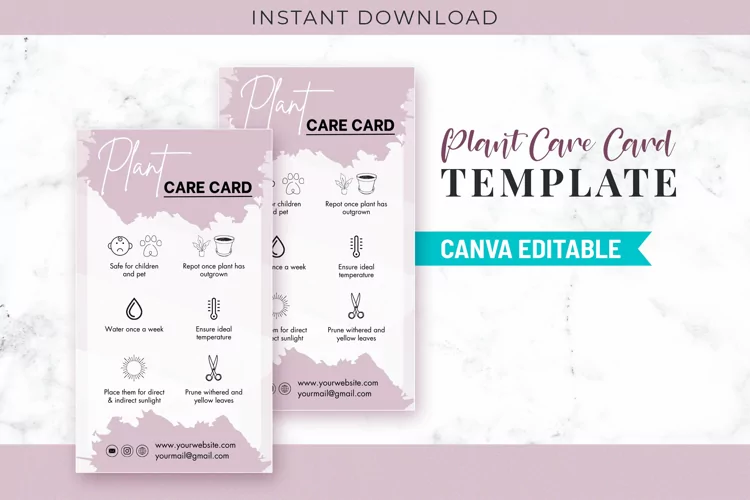 Plant Care Instructions Cards