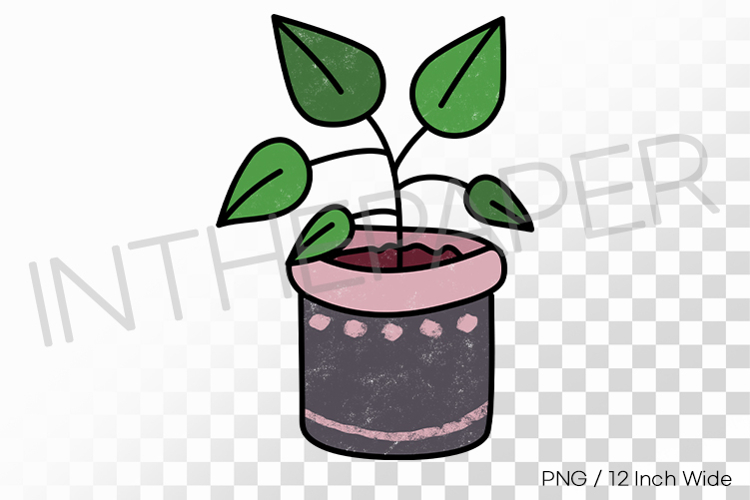 Patterned Decorative Pot Three Leaf Sprout PNG Succulent