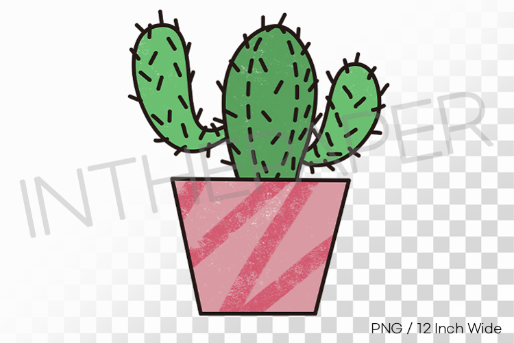 Cute Cactus Pictures Image 24