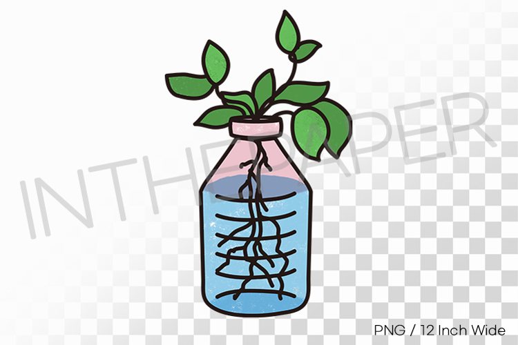 Water Bottle Clipart Image 7