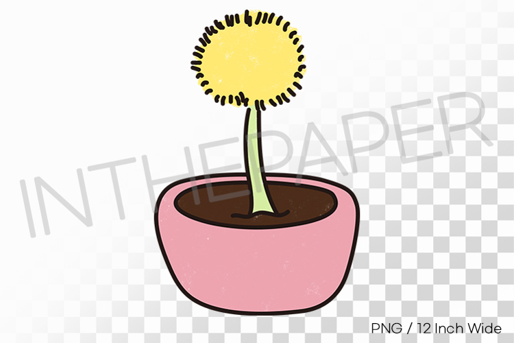 Dandelion Png Image 14