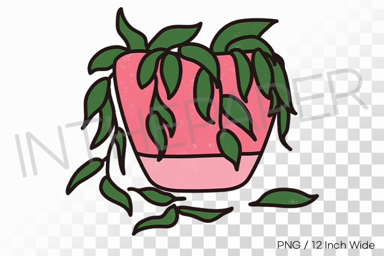 Vine Clipart Image 13