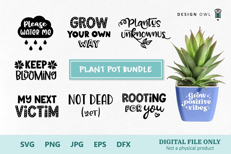 Plant Pot Bundle SVG files for plant lovers
