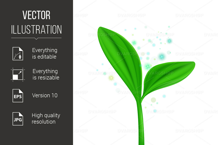 Spring Illustration Image 7