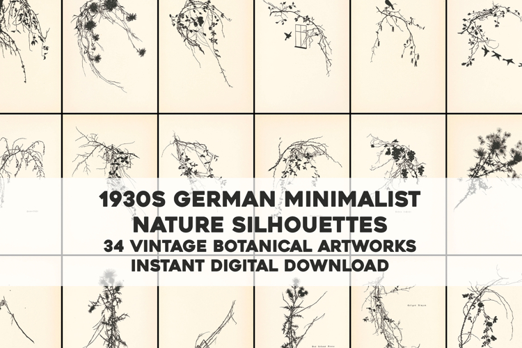 Old Silhouettes of Plants and Birds on Stained Paper