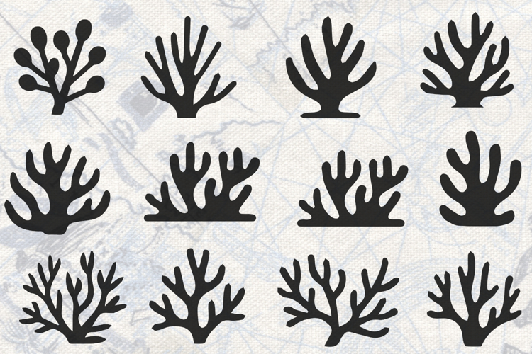 Aquatic Plants Bundle SVG