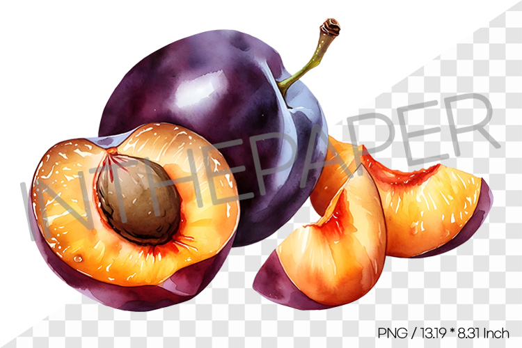 Sliced Plums and Whole Fruit PNG Clipart Fruit Illustration