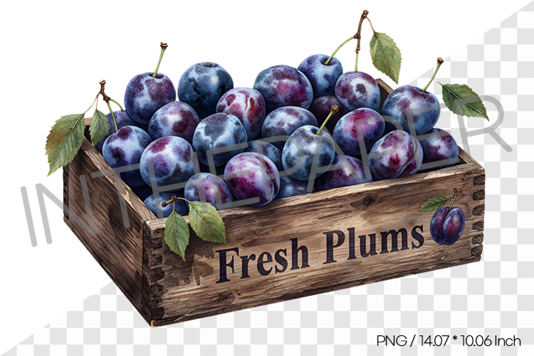 Fruit Png Image 23