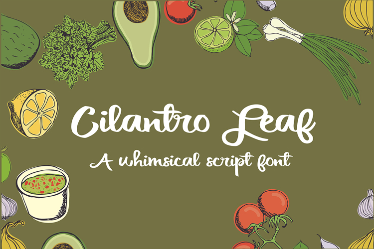 Cilantro Leaf Font Family