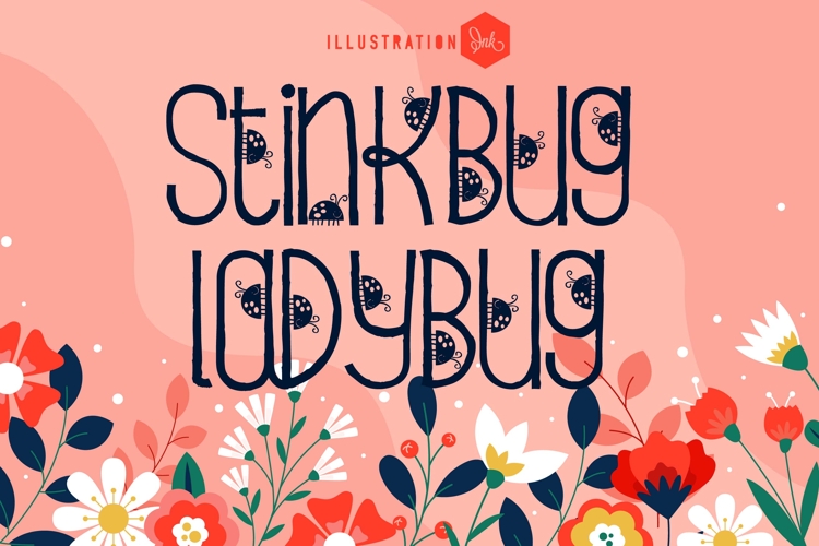 Stinkbug Ladybug
