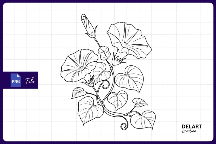 Flower Outline Png Image 12