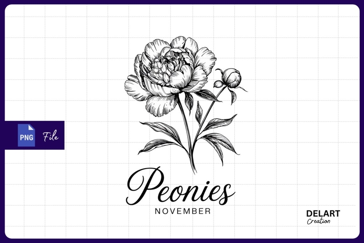 Peony Botanical Illustration Image 7