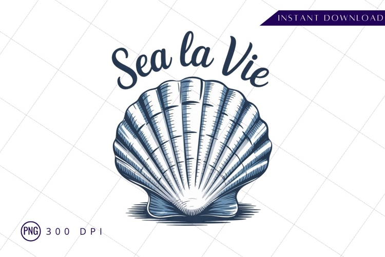 Shell Png Image 20