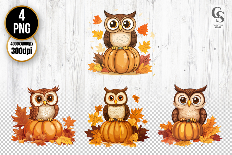 Owl Clipart Image 11