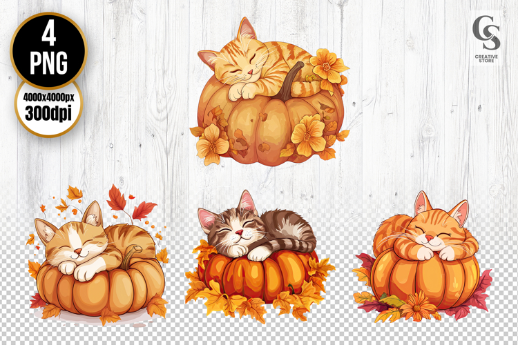 Cute Autumn Cat Clipart Sleeping on Pumpkins