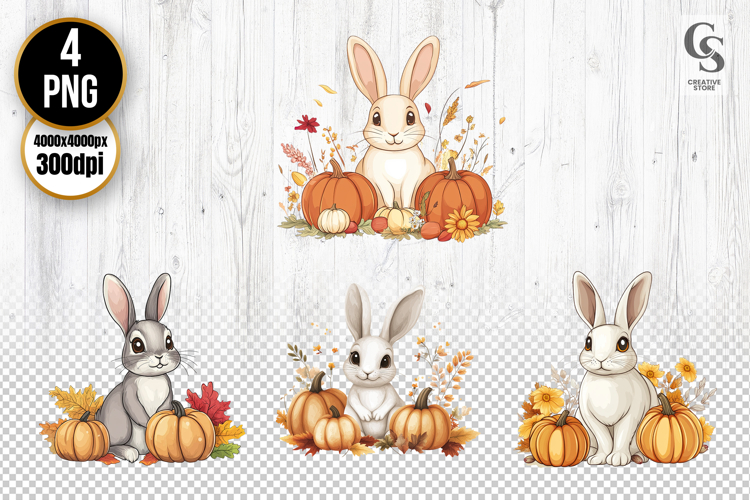 Rabbit Illustration Image 21