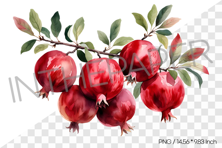 Fruit Png Image 15