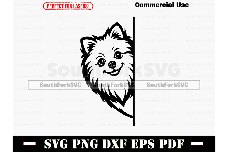 Cat Logo Design Image 4