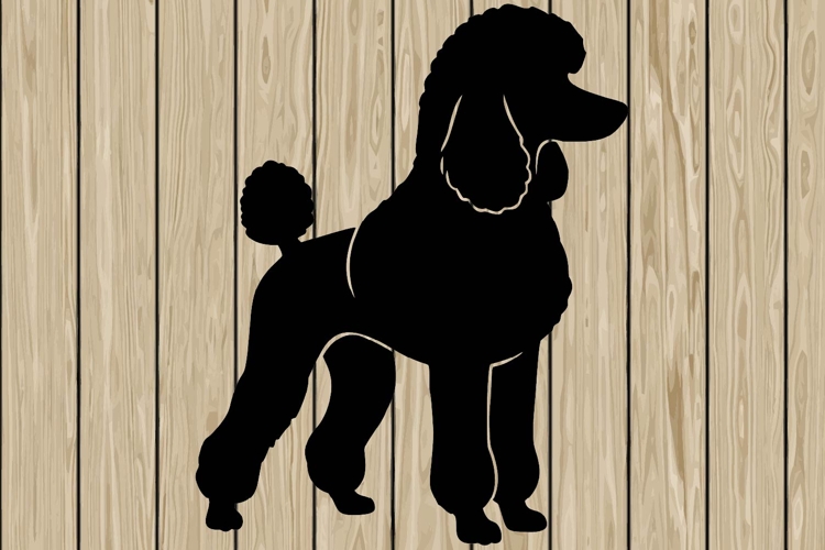 Poodle Svg Image 8