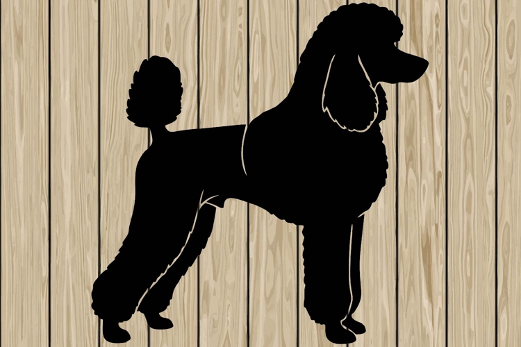 Poodle dog stencil silhouette SVG