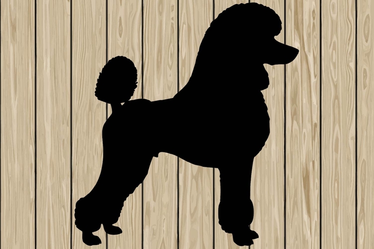 Poodle dog stencil silhouette SVG