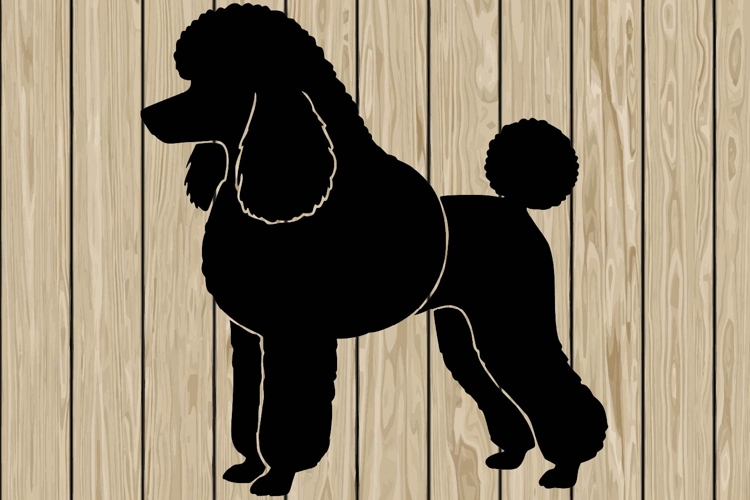 Poodle dog stencil silhouette SVG