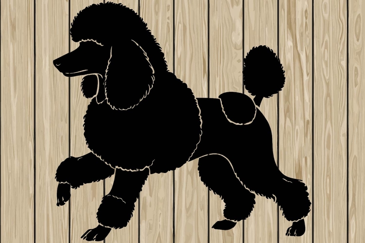Poodle dog stencil silhouette SVG