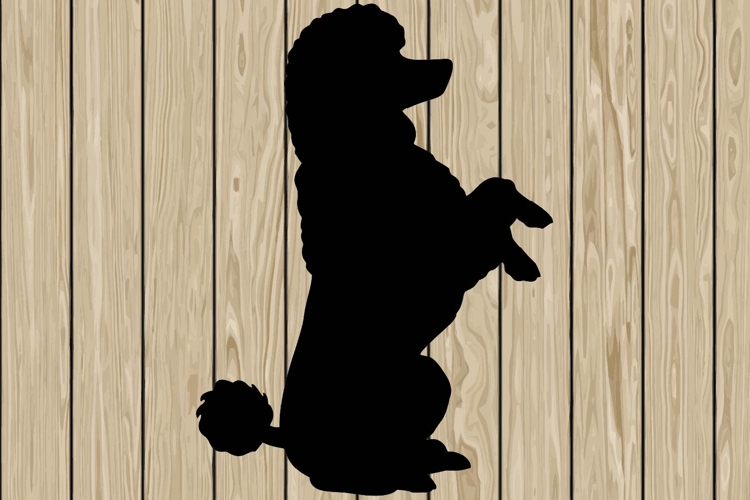 Poodle Svg Image 6