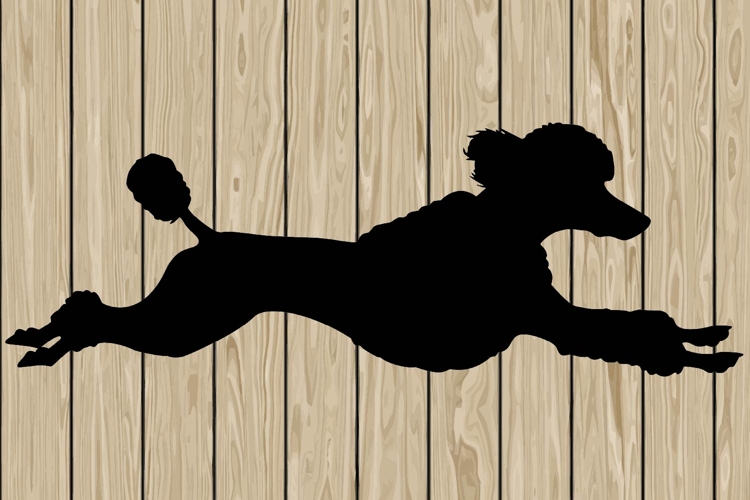 Poodle dog stencil silhouette SVG