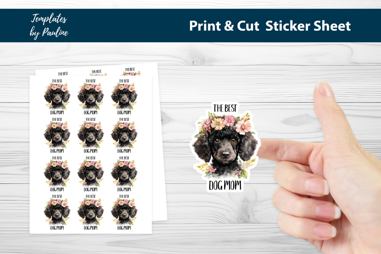 Sticker Png Image 17