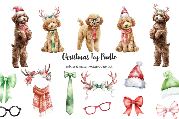 Watercolor Christmas toy poodle clipart. Xmas dogs clip art