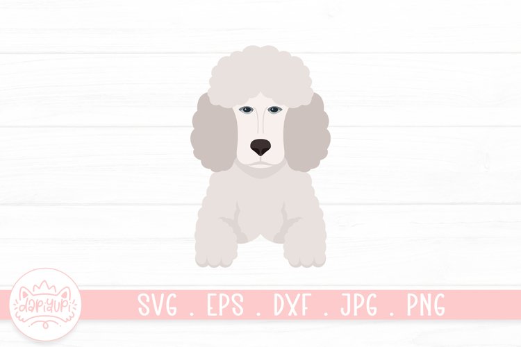 Pet Clipart Image 8