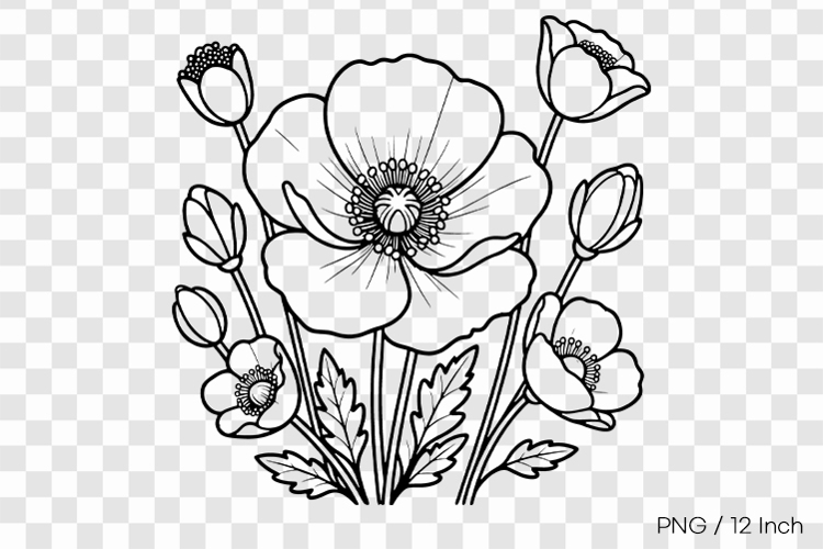 Flower Drawing Png Image 13
