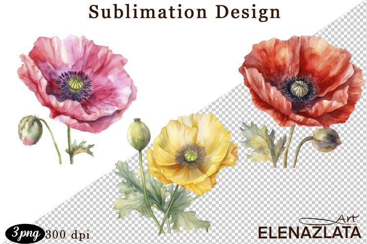 Poppy Illustration Image 8