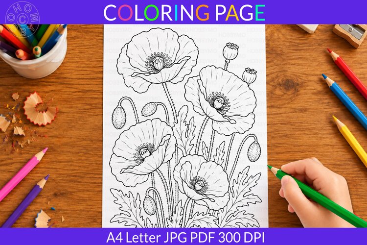 Poppy coloring page A4 Letter JPG PDF example image 1
