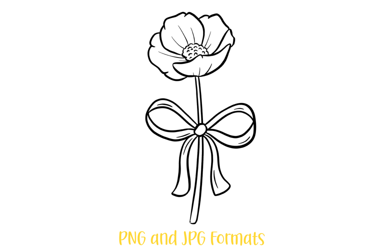 Poppy Flowers and Bow Floral Illustration Clipart PNG