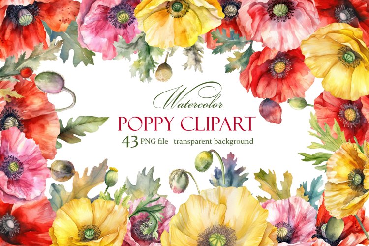 Poppy Illustration Image 19