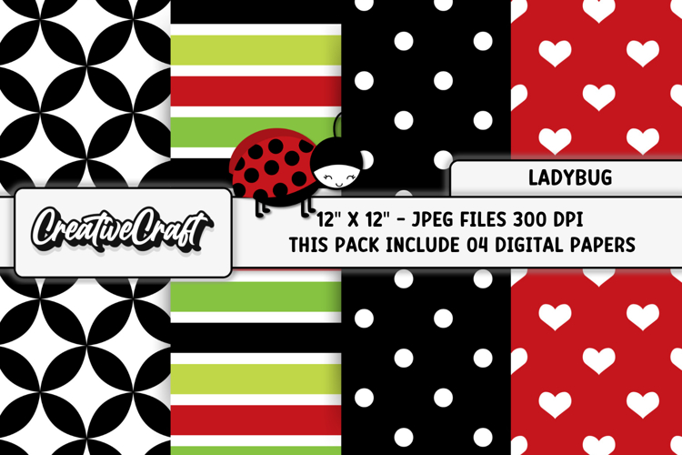 Ladybug Clipart Image 18