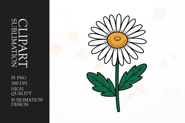 Daisy Flower Clipart