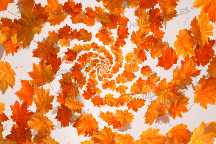 Thanksgiving Background Image 22