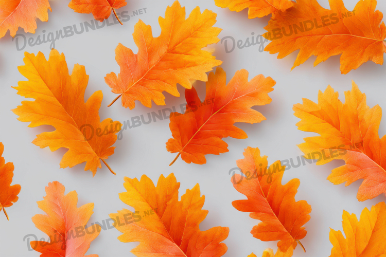 Thanksgiving Background Image 20