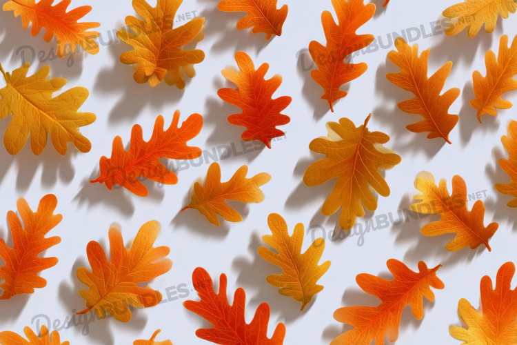 Pumpkin Texture Image 6