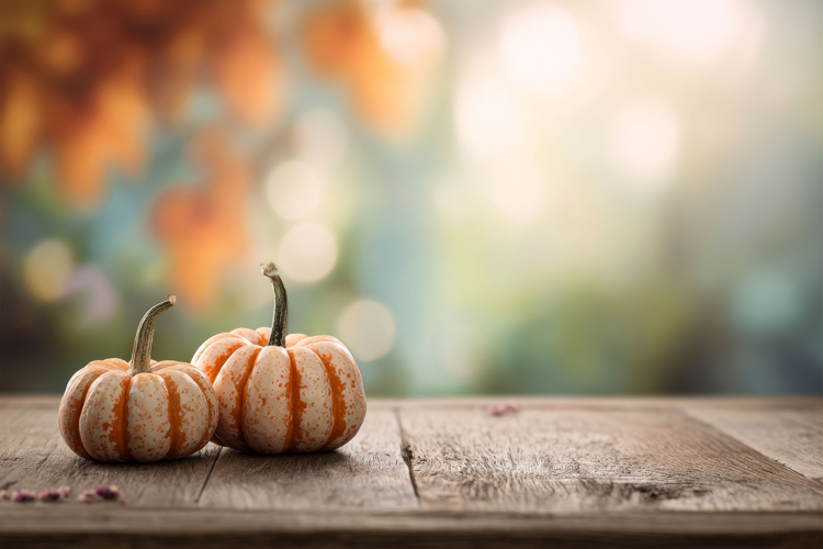 Pumpkin Texture Image 13