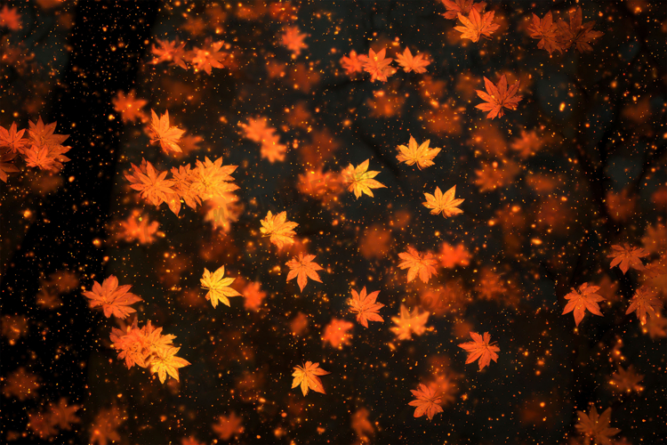 Thanksgiving Background Image 23
