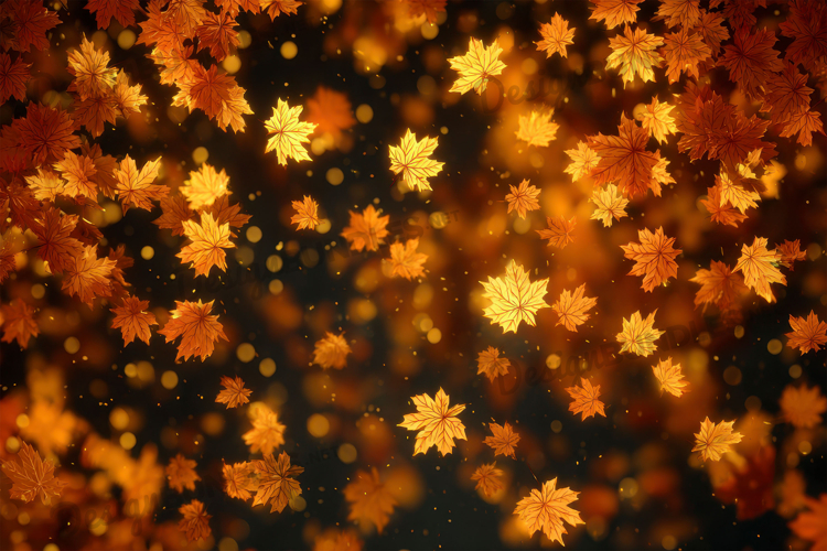 Pumpkin Texture Image 4