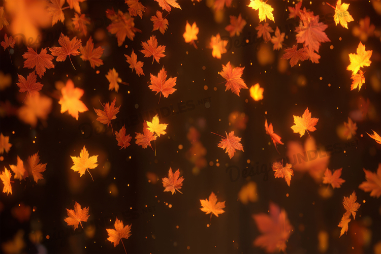Thanksgiving Background Image 21