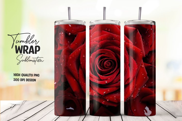 Red Rose Png Image 17