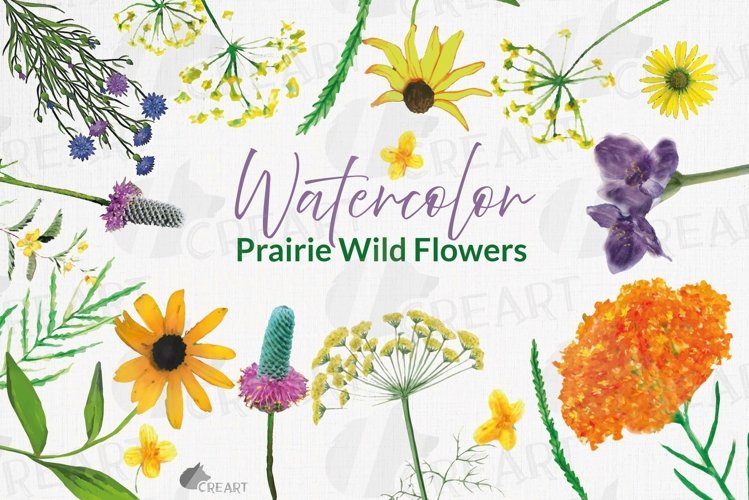 Prairie Grasses and Wildflowers Watercolour decor clip art. example image 1