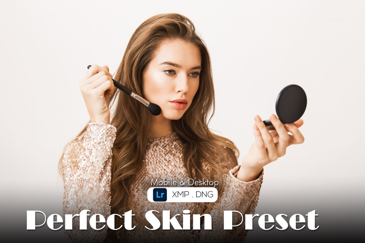 Perfect Skin Presets