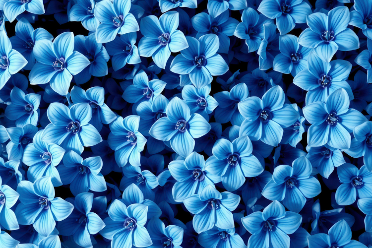 Blue Petals Field Background